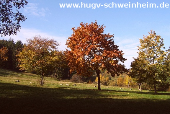 Am Erbig im Herbst