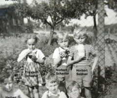 Kinder Weinbergst N Schadler 1956