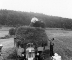 Gueldner_Schlepper_Amanda_Rickert_Ernte_Kinderwagen