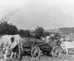 Bauern auf Feld