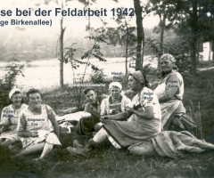 Feldarbeit 1942