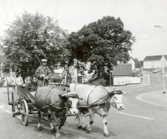 Landwirtschaft