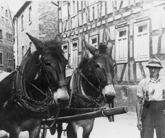 Rücker Seebornstr mit Eselfuhrwerk 348