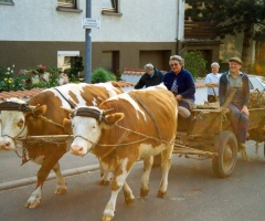 Vorbeck Ebersbacher Str mit Frau und Kühfuhrwerk 1992