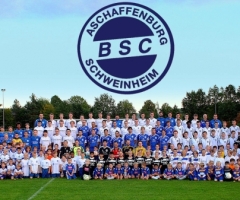 2012_BSC