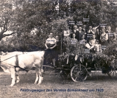 Birkenknorz 1925 - Festzugwagen