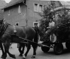 Festzug Schweinheim Marienstr