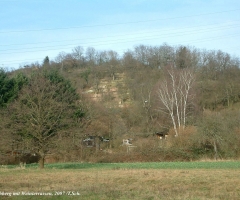 Bischberg Weinterrassen