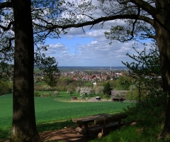 Schweinheim Blick