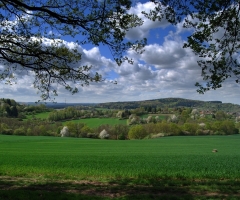 Schweinheim Blick (2)