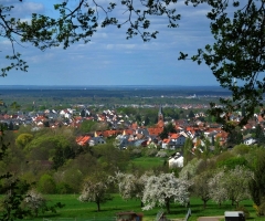 Schweinheim Blick (3)