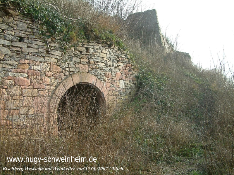 Bischberg Weinkeller