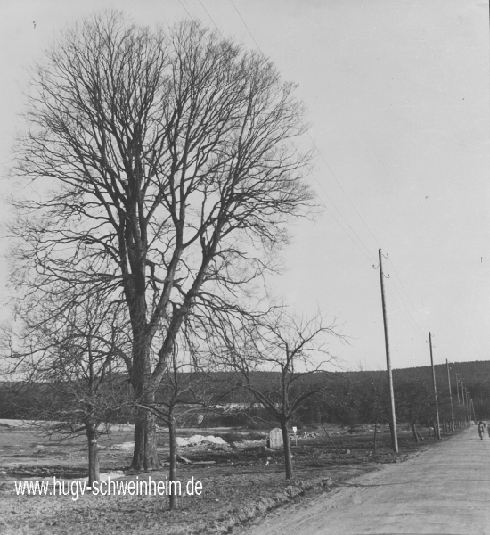 Exerzierplatz Dicke Buche