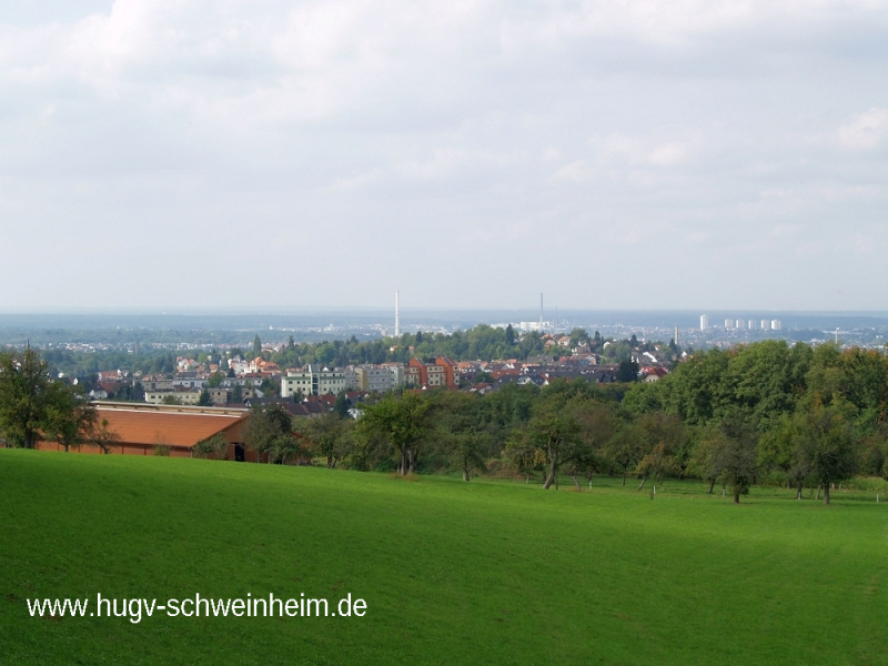 Elterhof Blickrichtung Stadt Aufnahme 2005