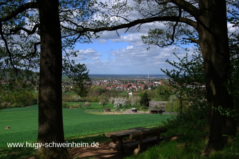 Schweinheim Blick