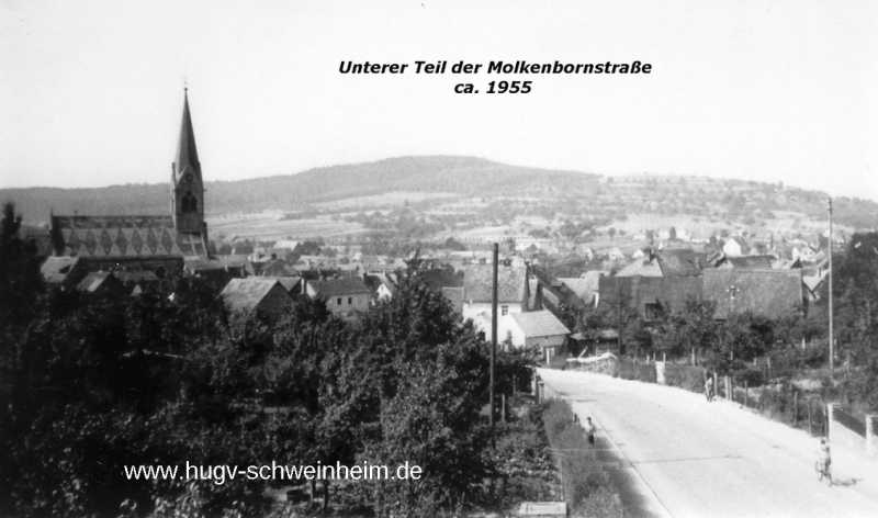 Molkenbornstr unterer Teil ca  1955