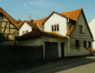 Rosenstr 1989 (2)