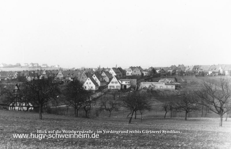 Weinbergstr Gärtnerei Syndikus