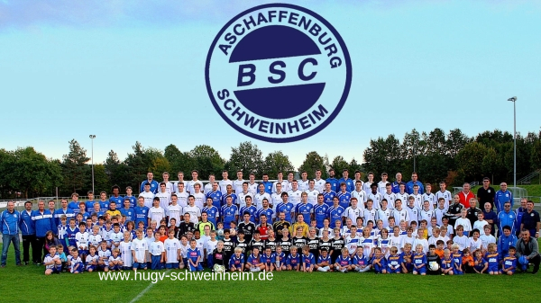 2012_BSC