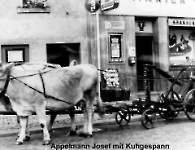 Appelmann Josef Althohlstr mit Kuhgespann 1956