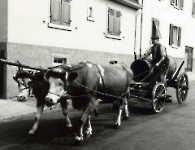 Puhlwagen 1967 Ebersbacher Str