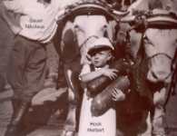 Trachtenfestzug 1952 - Sauer Nikolaus, Hock Herbert