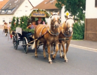 Festzug 1993 (3)