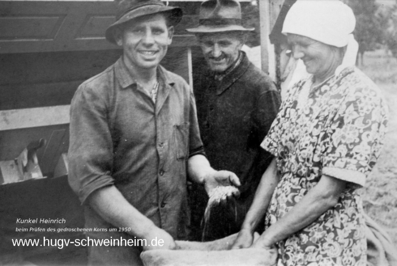 Kunkel Heinrich beim Dreschen 1950