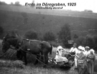 Elterhof Bahmer Ernte im Dörngraben 1925